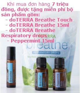 Chương trình khuyến mãi tặng bộ sản phẩm: Tinh dầu Peppermint 15ml, Breathe 15ml, Breathe Touch, Breathe Drops