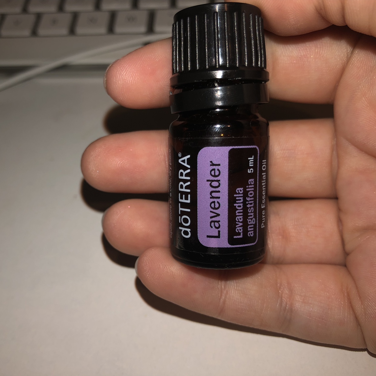 Tinh dầu Oải Hương (Lavender) - Giải pháp chấm dứt sự mất ngủ